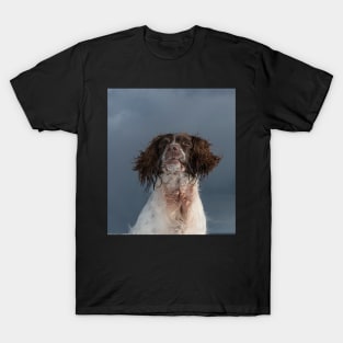 English Springer Spaniel T-Shirt